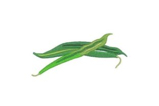 Charming Bush Beans Embroidery for Craft Fairs